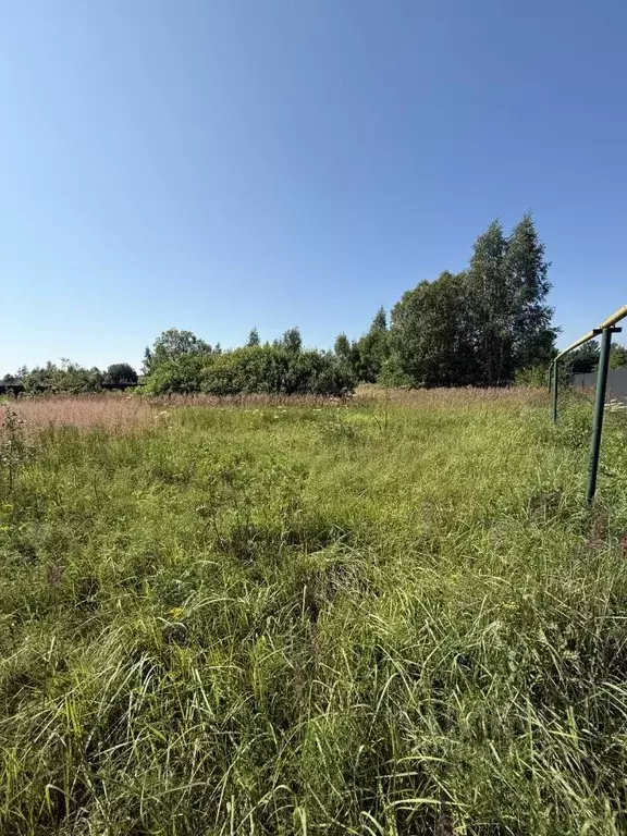 Участок в Тульская область, Заокский район, Демидовское с/пос, д. ... - Фото 2