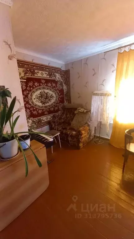 1-к кв. Курганская область, Курган ул. Кирова, 119 (30.4 м) - Фото 0