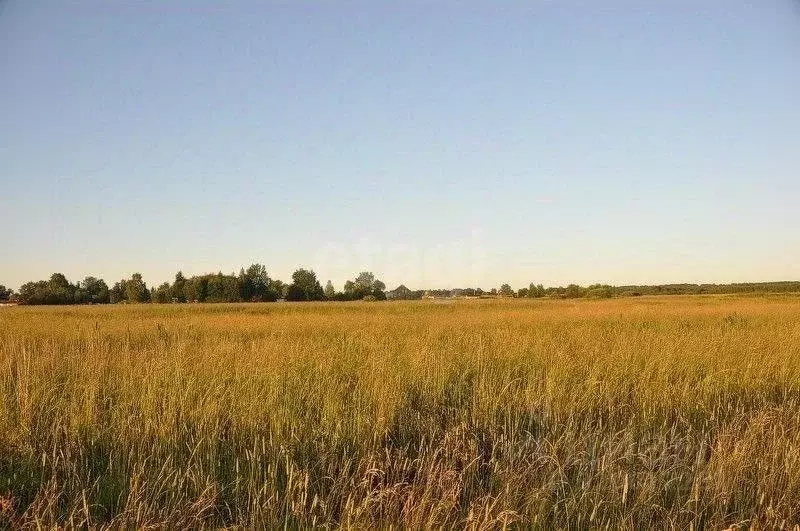 Участок в Московская область, Домодедово городской округ, д. Бехтеево  ... - Фото 1