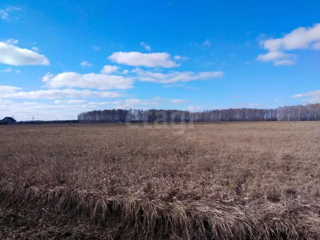 Участок в Омская область, Омский район, с. Новотроицкое ул. Гагарина, ... - Фото 0