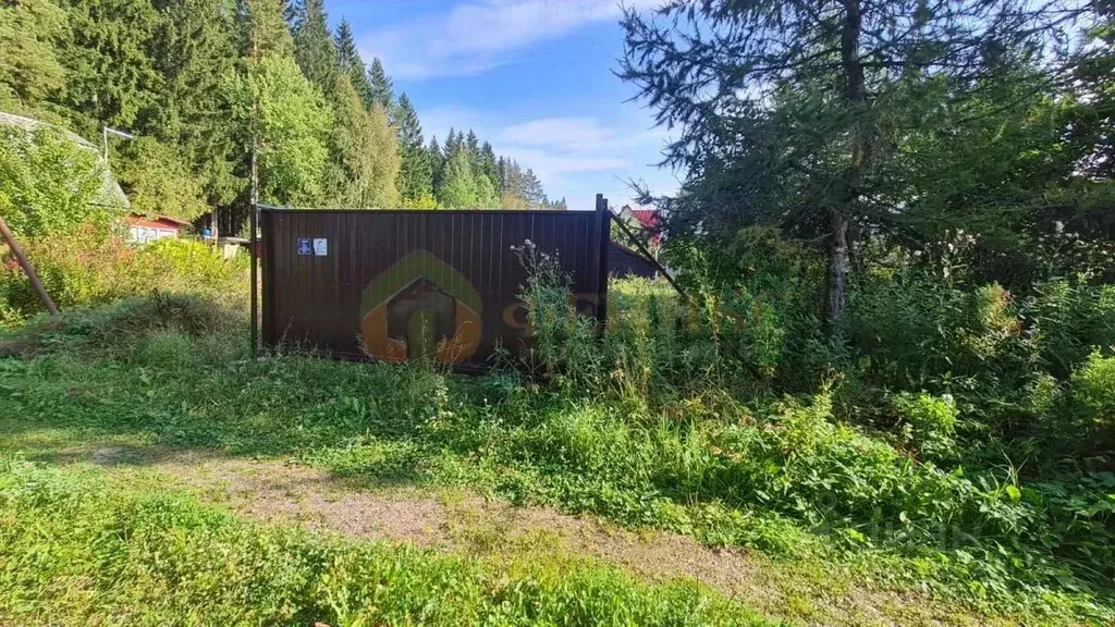 Участок в Ленинградская область, Выборгский район, Рощинское городское ... - Фото 0