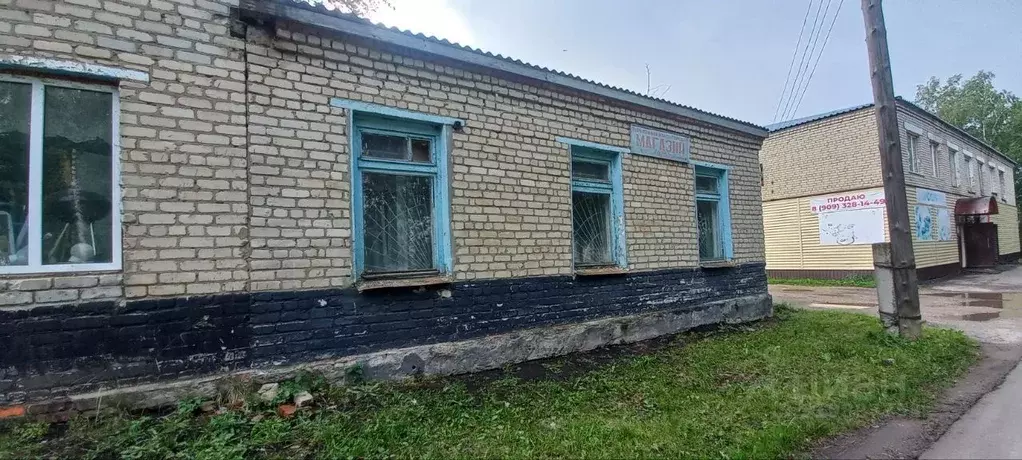 Помещение свободного назначения в Мордовия, с. Большое Игнатово ул. ... - Фото 0