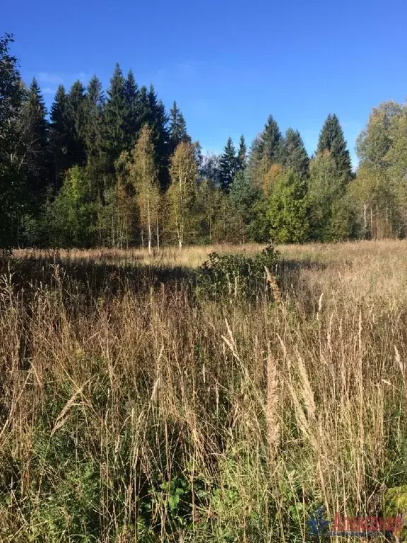 Участок в Ленинградская область, Выборгский район, Советское городское ... - Фото 0