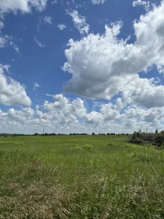 Участок в Тульская область, Новомосковск ул. Риммы Тарасовой, 48 (15.0 ... - Фото 2
