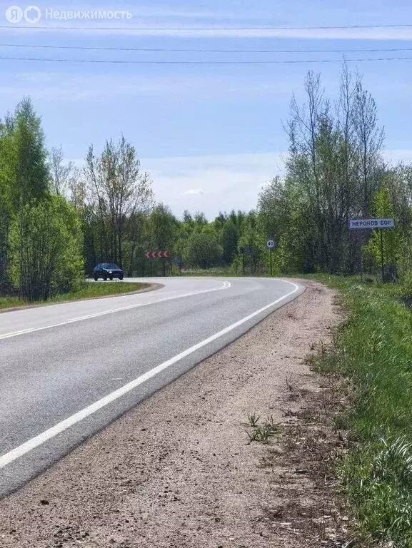 Участок в Новгородский муниципальный округ, Ракомское сельское ... - Фото 1