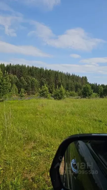 Участок в Нижегородская область, Ардатовский муниципальный округ, ... - Фото 2