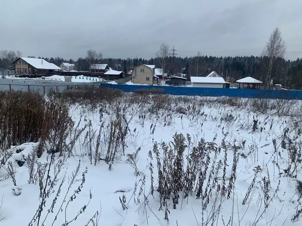 Участок в Московская область, Солнечногорск городской округ, д. ... - Фото 0