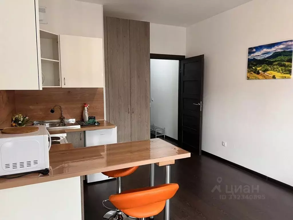 Студия Санкт-Петербург ул. Верхне-Каменская, 9к1 (24.6 м) - Фото 2