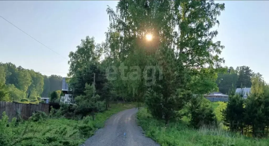 Участок в Красноярский край, Емельяновский район, Никольский ... - Фото 1
