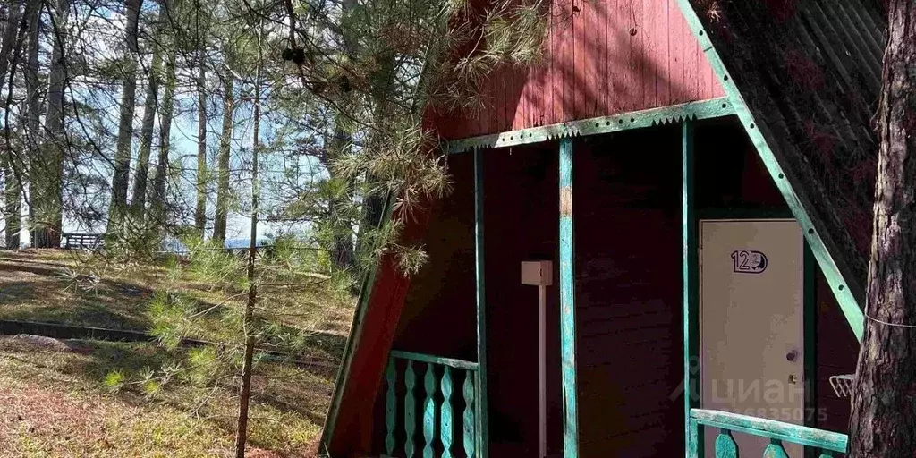 Комната Краснодарский край, Сочи Магринская ул., 16/1 (15.0 м) - Фото 0