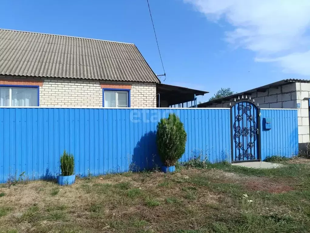Дом в Белгородская область, Вейделевский район, с. Кубраки ул. ... - Фото 0
