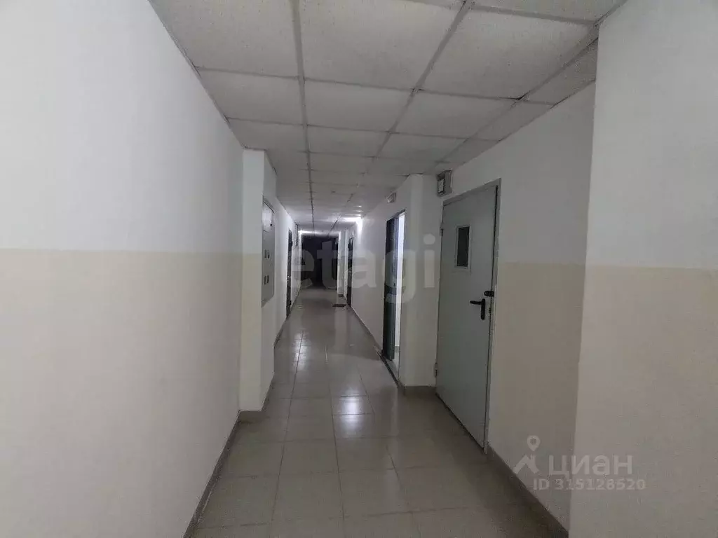 1-к кв. Приморский край, Владивосток ул. Лейтенанта Бурачка, 9 (34.0 ... - Фото 0