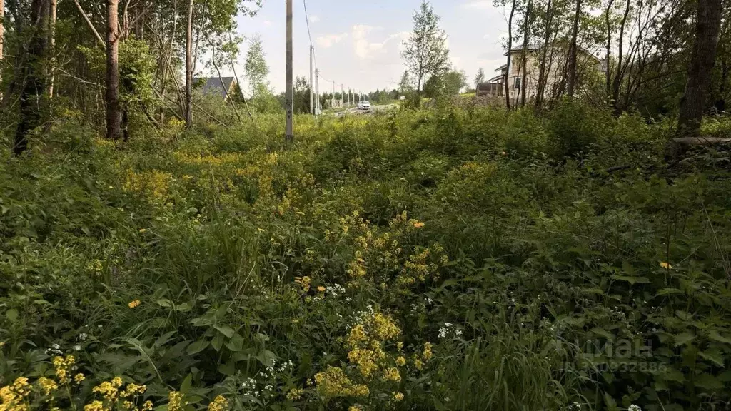Участок в Московская область, Истра муниципальный округ, д. Бодрово  ... - Фото 1