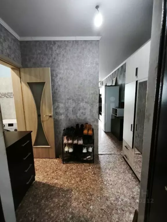 Студия Краснодарский край, Краснодар ул. Евгении Жигуленко, 9 (23.4 м) - Фото 1