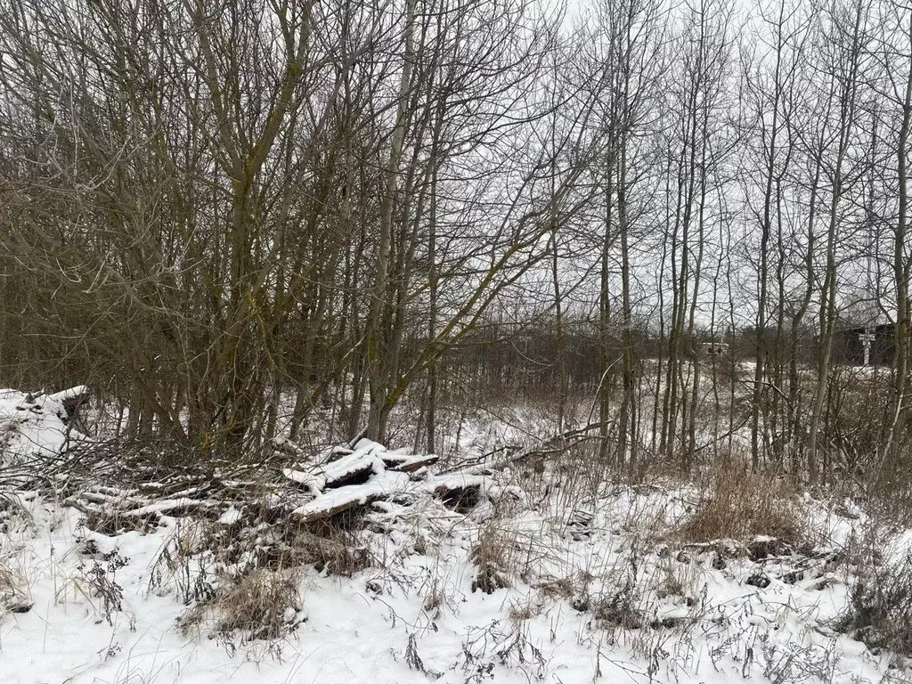 Участок в Московская область, Орехово-Зуевский городской округ, д. ... - Фото 1
