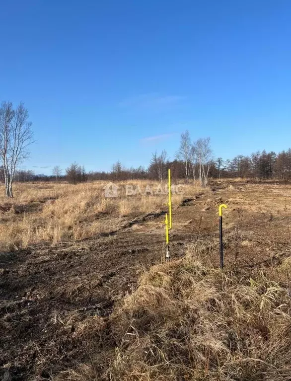 Участок в Сахалинская область, Анивский городской округ, с. Мицулевка ... - Фото 1