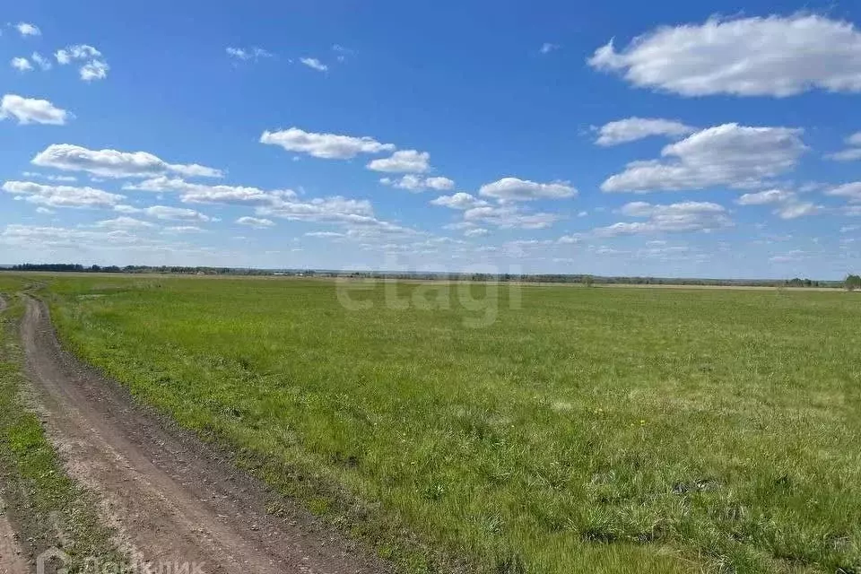 Участок в Татарстан, Высокогорский район, с. Большие Ковали  (9210.0 ... - Фото 1
