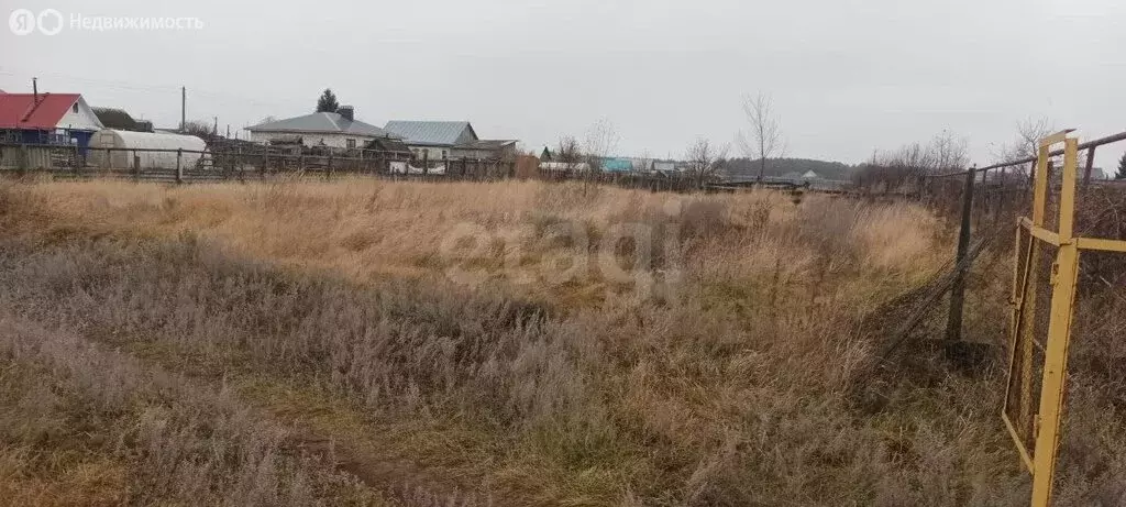 Участок в Чердаклинский район, Красноярское сельское поселение, село ... - Фото 2