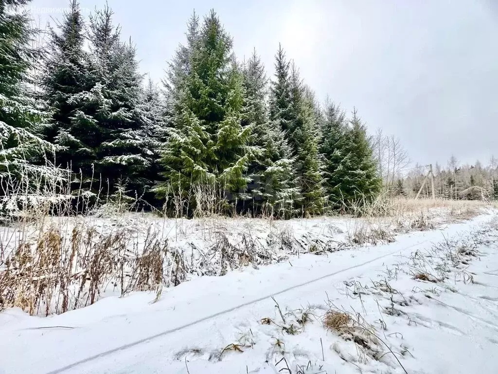 Участок в Московская область, городской округ Клин, коттеджный посёлок ... - Фото 2