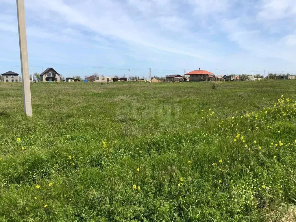 Участок в Краснодарский край, Темрюкский район, Новотаманское с/пос, ... - Фото 2