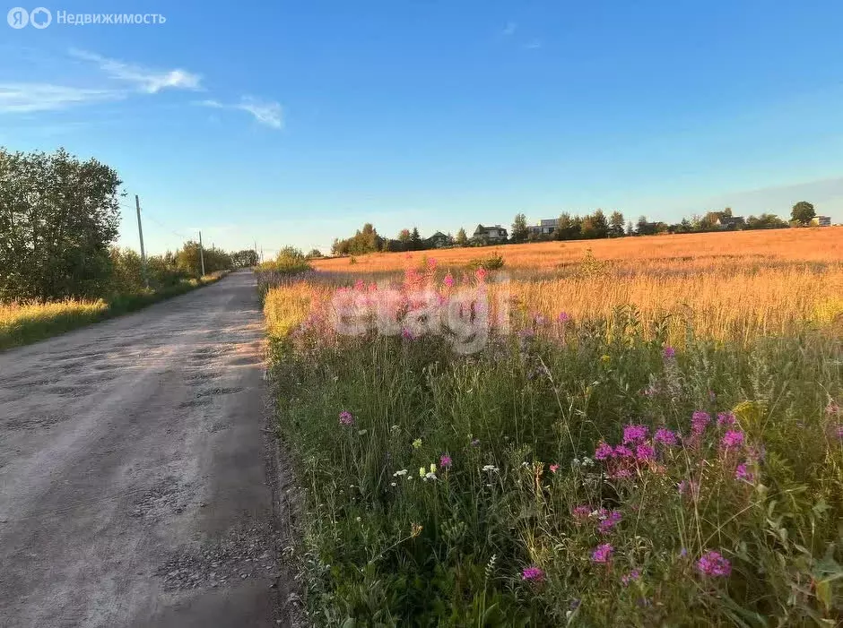 Участок в Низинское сельское поселение, посёлок Троицкая Гора, ... - Фото 2
