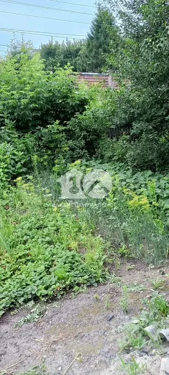 Участок 6,9 сот. (ИЖС) - Фото 0