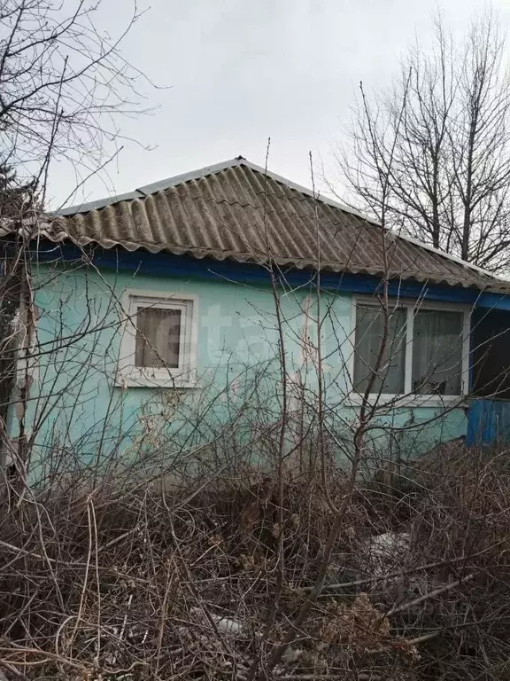 Дом в Белгородская область, Вейделевский район, с. Закутское ул. ... - Фото 1