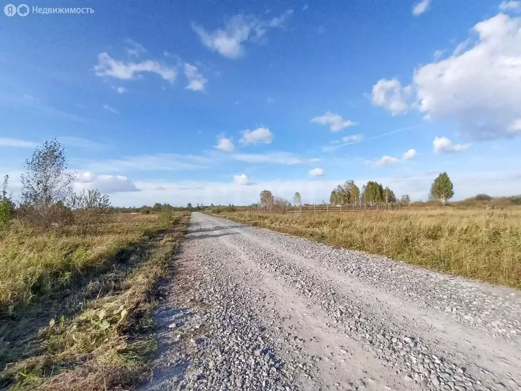 Участок в Новосибирский район, Кудряшовский сельсовет, посёлок ... - Фото 1