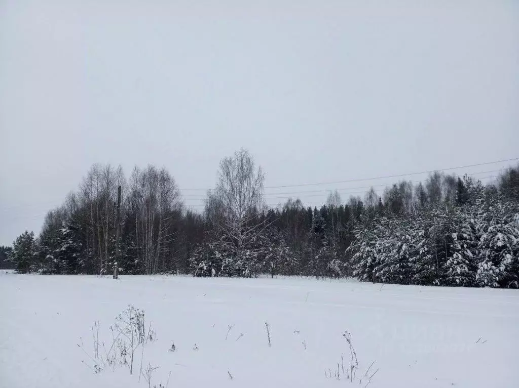Участок в Пермский край, Карагайский муниципальный округ, с. Обвинск ... - Фото 2