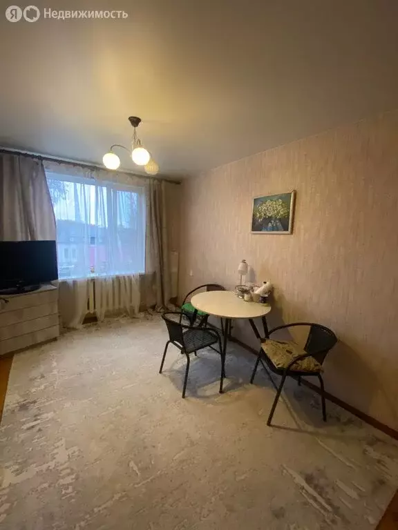 1-комнатная квартира: Псков, исторический район Завеличье, Мирная ... - Фото 1