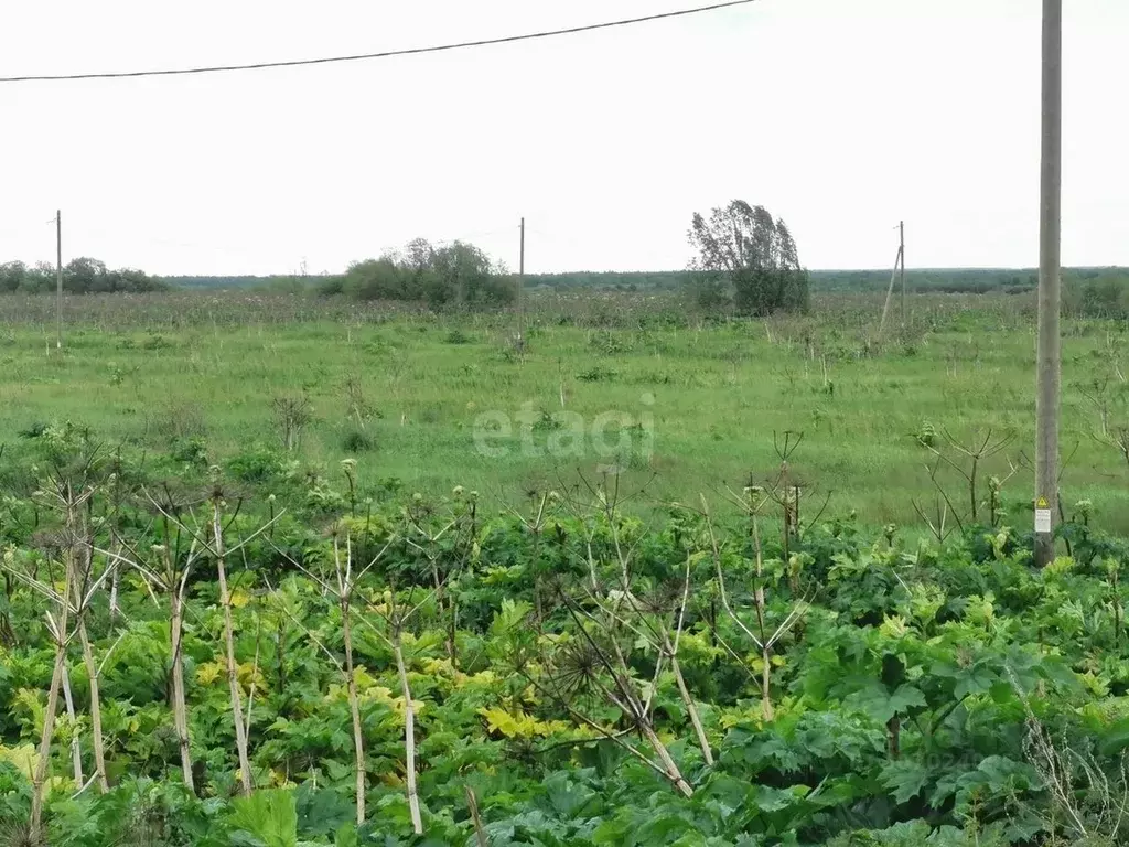 Участок в Коми, Сыктывдинский район, с. Выльгорт  (12.8 сот.) - Фото 0