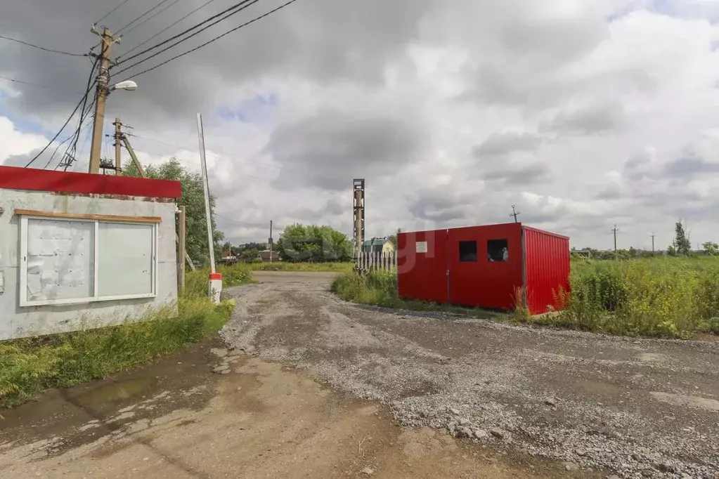 Участок в Омская область, Омск Бодрость-1 СНО, 355 (100.0 сот.) - Фото 0