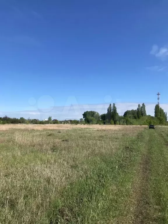 Участок 10 сот. (ИЖС) - Фото 0