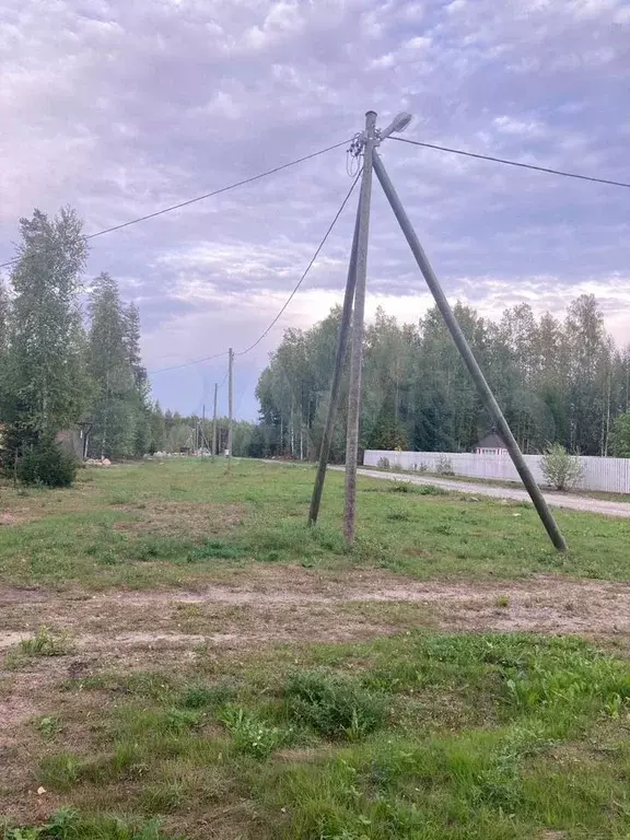 Участок 12,5 сот. (СНТ, ДНП) - Фото 1