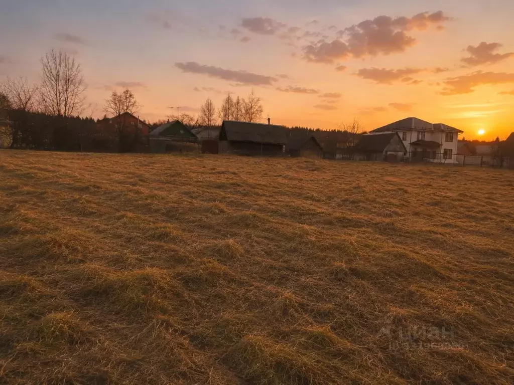 Участок в Московская область, Павлово-Посадский городской округ, д. ... - Фото 2