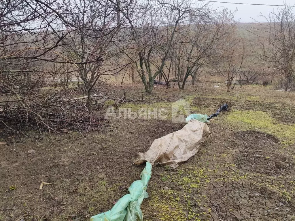 Участок в Ростовская область, Волгодонск Автомобилист-Дон НСТ,  (11.9 ... - Фото 2