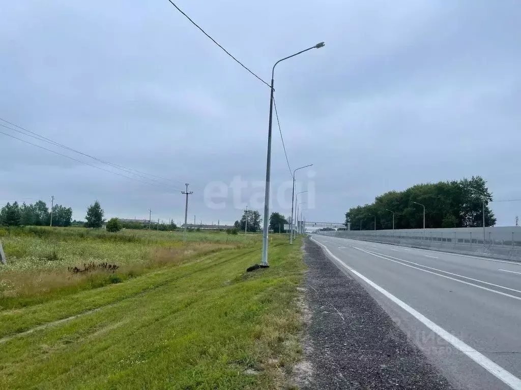 Участок в Тюменская область, Тюменский муниципальный округ, с. Борки  ... - Фото 2