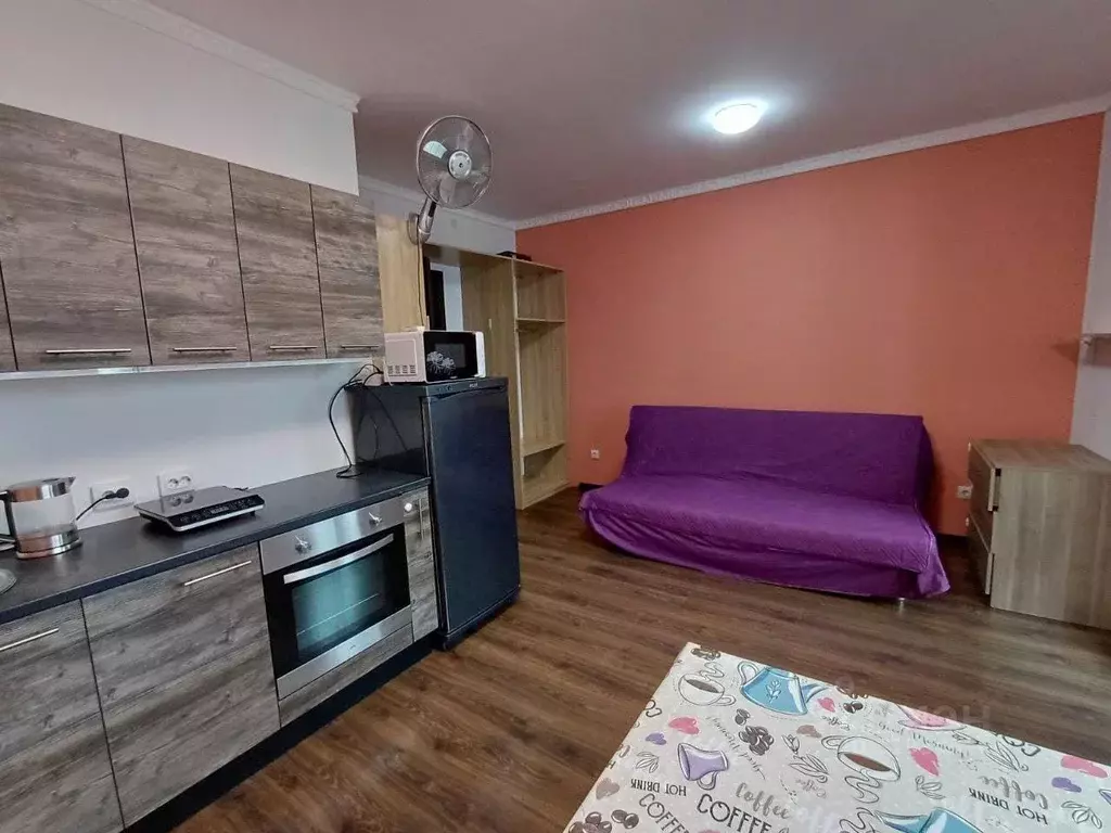 Студия Санкт-Петербург ул. Плесецкая, 20к1 (24.0 м) - Фото 1