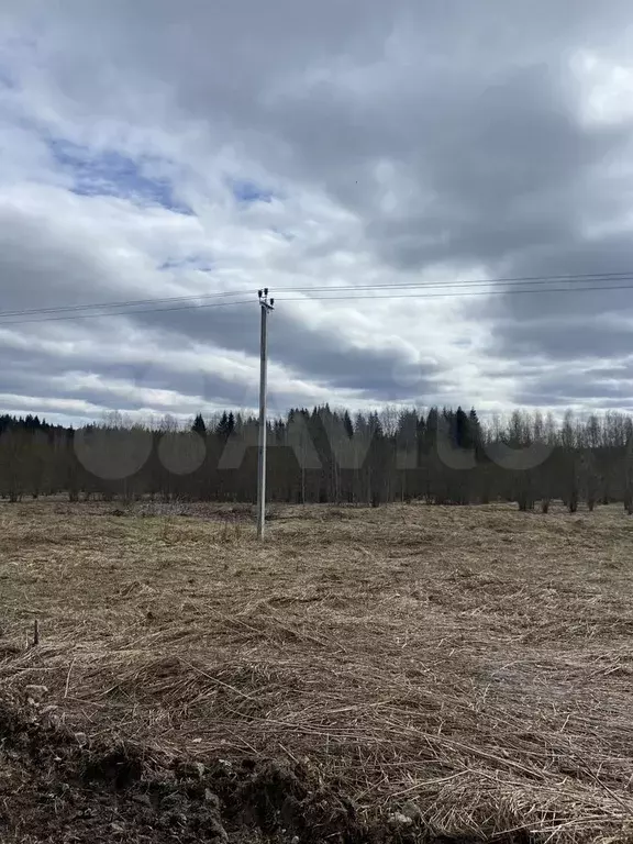 Участок 15,5 сот. (ИЖС) - Фото 0