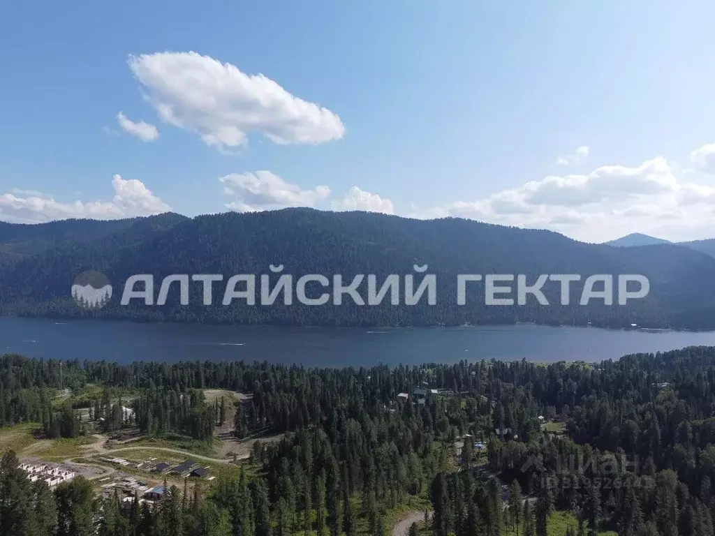 Участок в Алтай, Турочакский район, с. Артыбаш пер. Радужный (26.36 ... - Фото 0