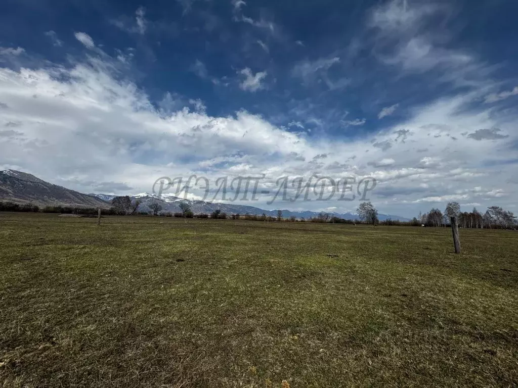 Участок в Алтай, Усть-Коксинский район, с. Усть-Кокса ул. Нагибина ... - Фото 2