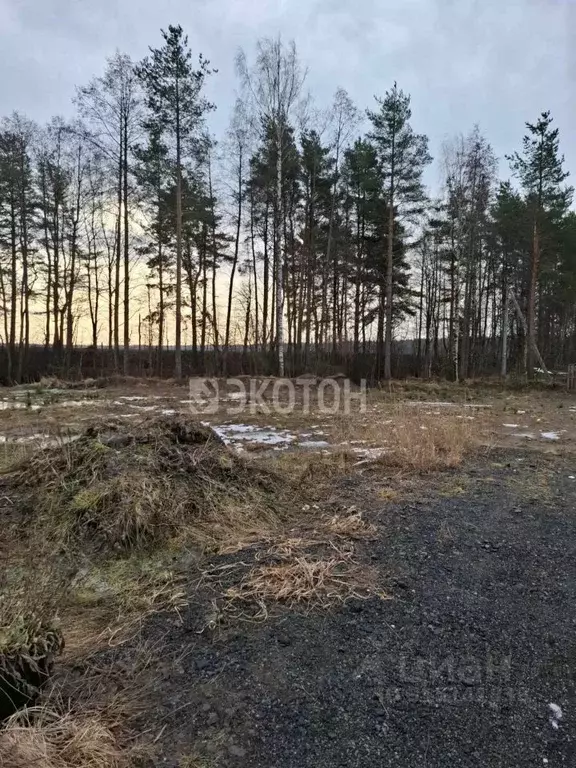 Участок в Ленинградская область, Сосновый Бор Приозерное СНТ, 10 (14.4 ... - Фото 0