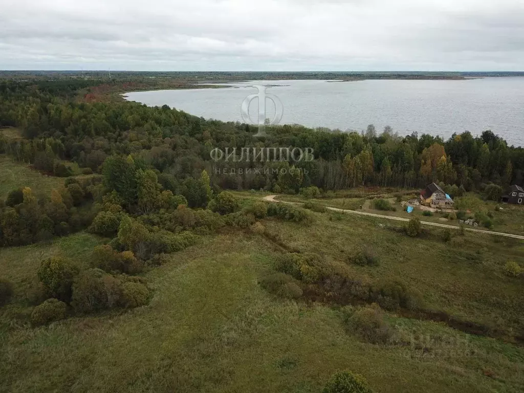 Участок в Новгородская область, Боровичский район, Железковское с/пос, ... - Фото 1