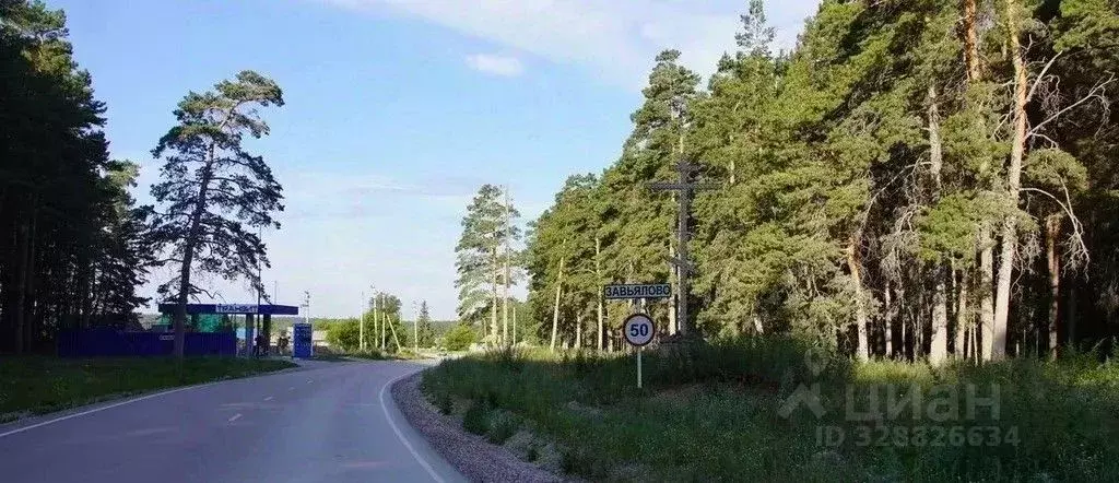 Участок в Новосибирская область, Искитимский район, Быстровский ... - Фото 1
