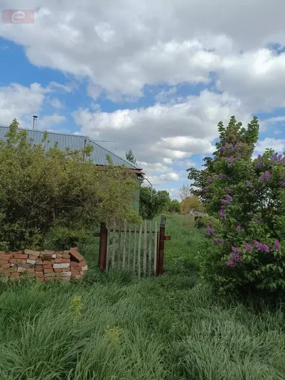 Дом в Воронежская область, Верхнехавский район, Малоприваловское ... - Фото 1