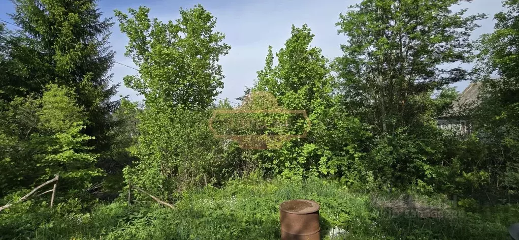 Участок в Ленинградская область, Кировский район, Синявинское ... - Фото 2