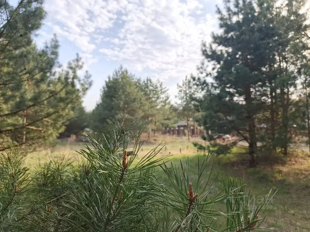 Участок в Владимирская область, Владимир с. Кусуново, ул. Волозинская, ... - Фото 0