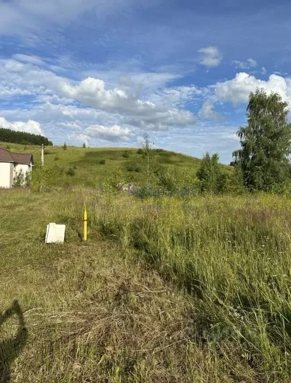 Участок в Нижегородская область, Кстовский муниципальный округ, д. ... - Фото 1