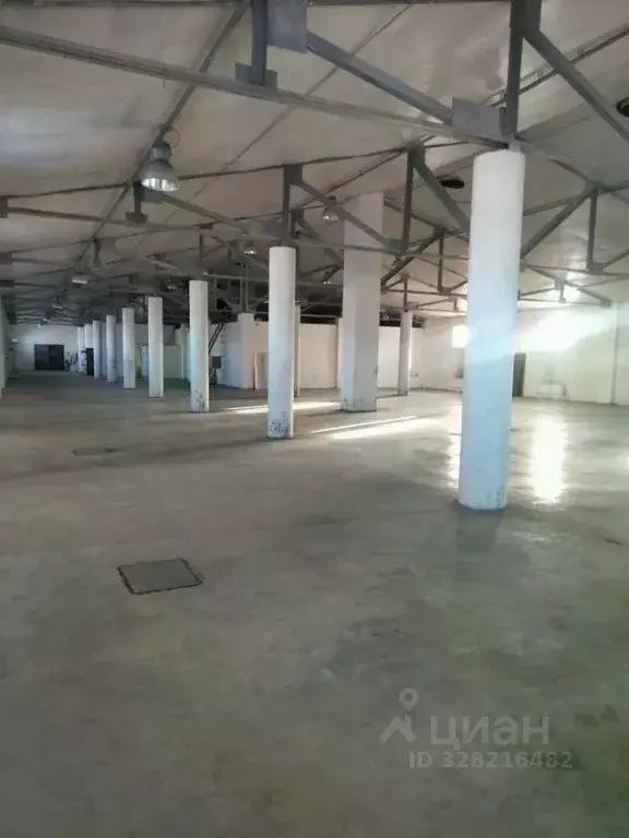 Склад в Московская область, Мытищи городской округ, д. Грибки пер. ... - Фото 2