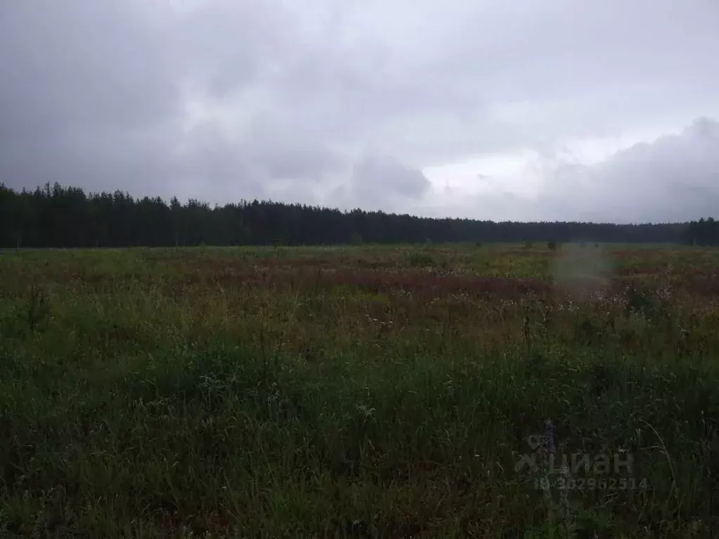 Участок в Владимирская область, Александровский район, Каринское ... - Фото 0